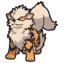 Arcanine