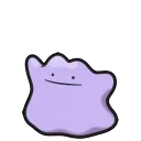 Ditto