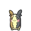 Morpeko