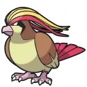 Pidgeot