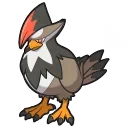 Staraptor