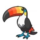 Toucannon